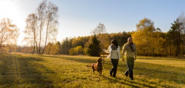 Hotel Wellneb Allgau Hotel Wellneb Allgau