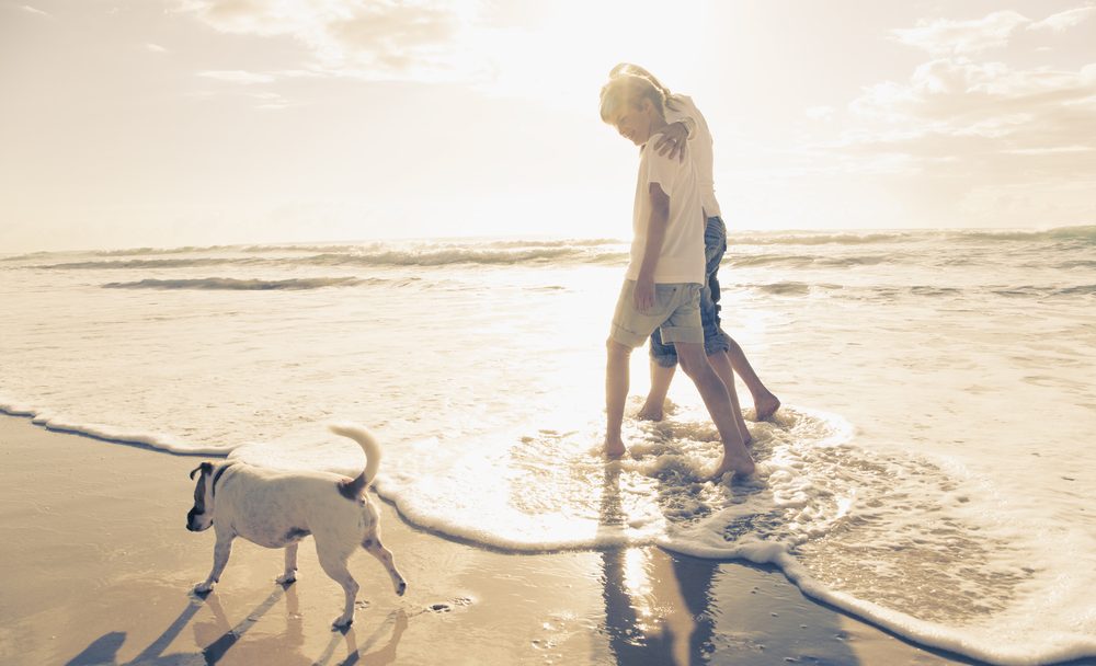 Kurztrip Nach Holland Ans Meer Mit Hund Zandvoort: 3 Tage Strandurlaub Holland für nur 68€