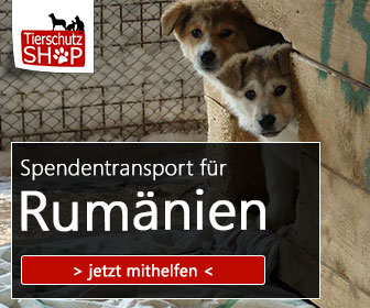 spendentransport_tierschutz-shop_smeura_336x280