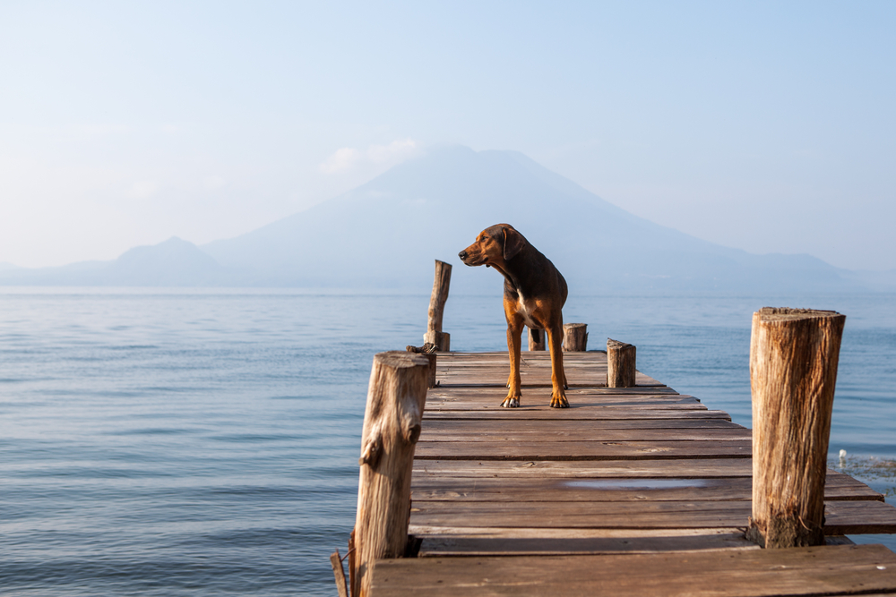 Urlaub am Chiemsee 6 Tage mit Halbpension nur 199€