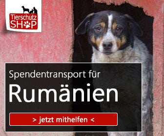 spendentransport_tierschutz-shop_prodogromania_336x280