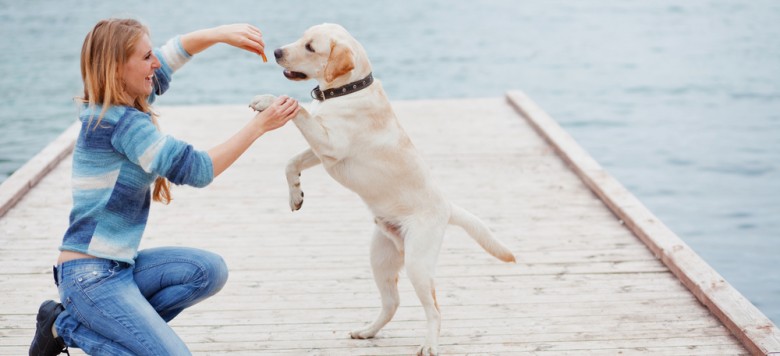 Hotel Mit Hund Starnberger See Hotel Mit Hund Starnberger See