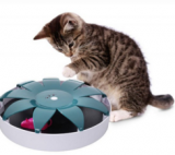 Magnetic Mouse