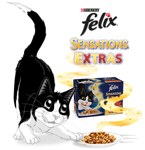 FELIX Sensations Extras