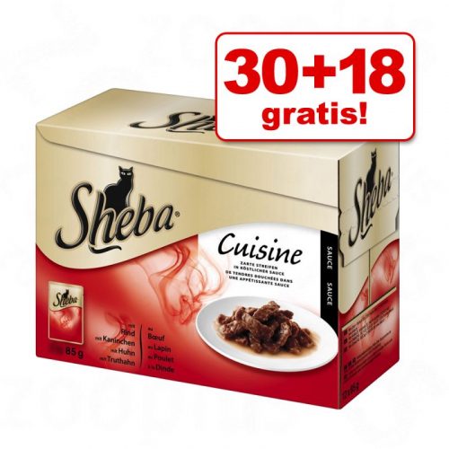 sheba 2