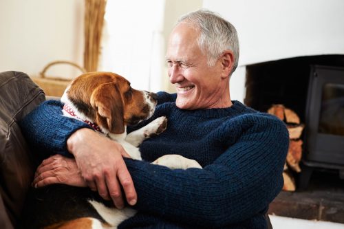Senior Man Relaxing At Home With Pet Dog Smiling