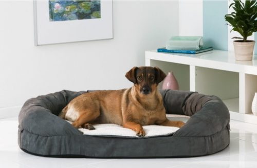 Hundebett