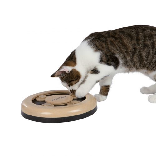 cat-activity-fun-circle-katzenspielzeug-1404479381