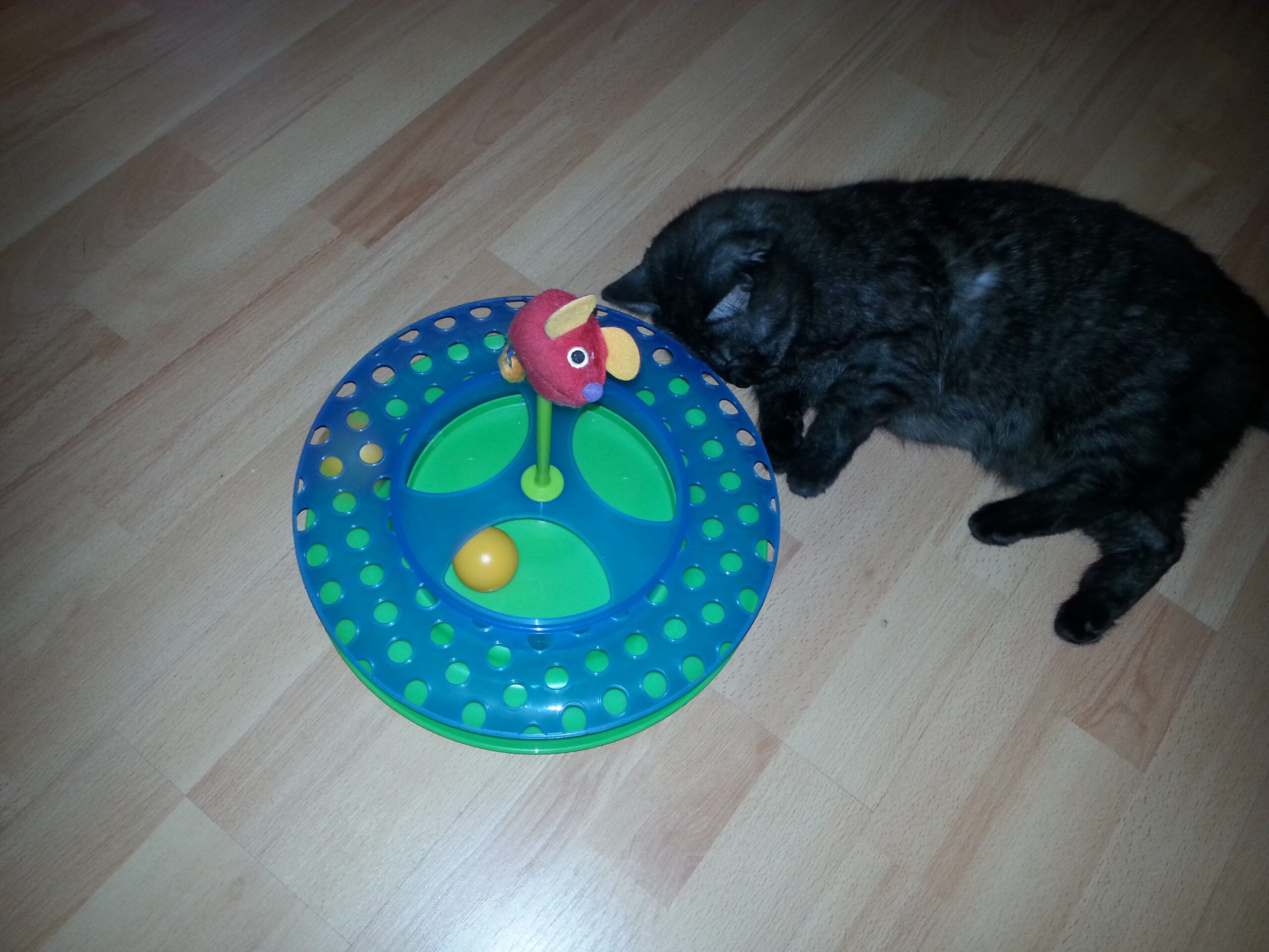 Testbericht: Cheese Chase Katzenspielzeug von Petstages