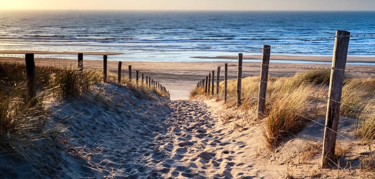 Corona und silvester: verbot von feuerwerk in sachsen-anhalt Silvester mit Hund - die besten Ziele für ein ruhiges Fest