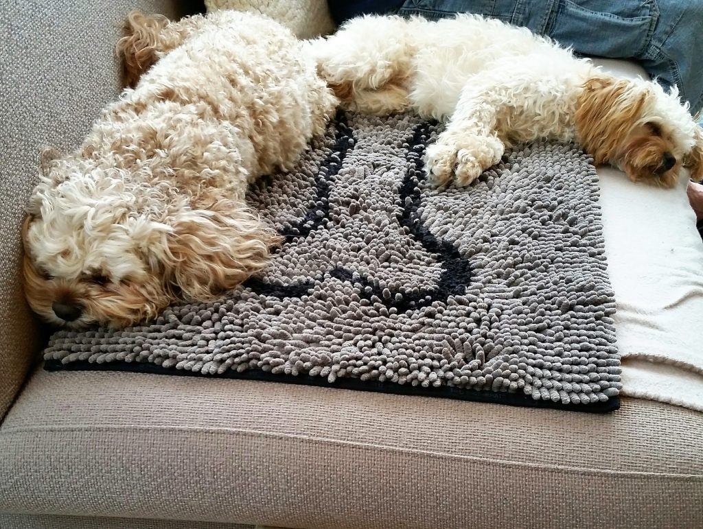 Testbericht Wolters Dirty Dog Doormat