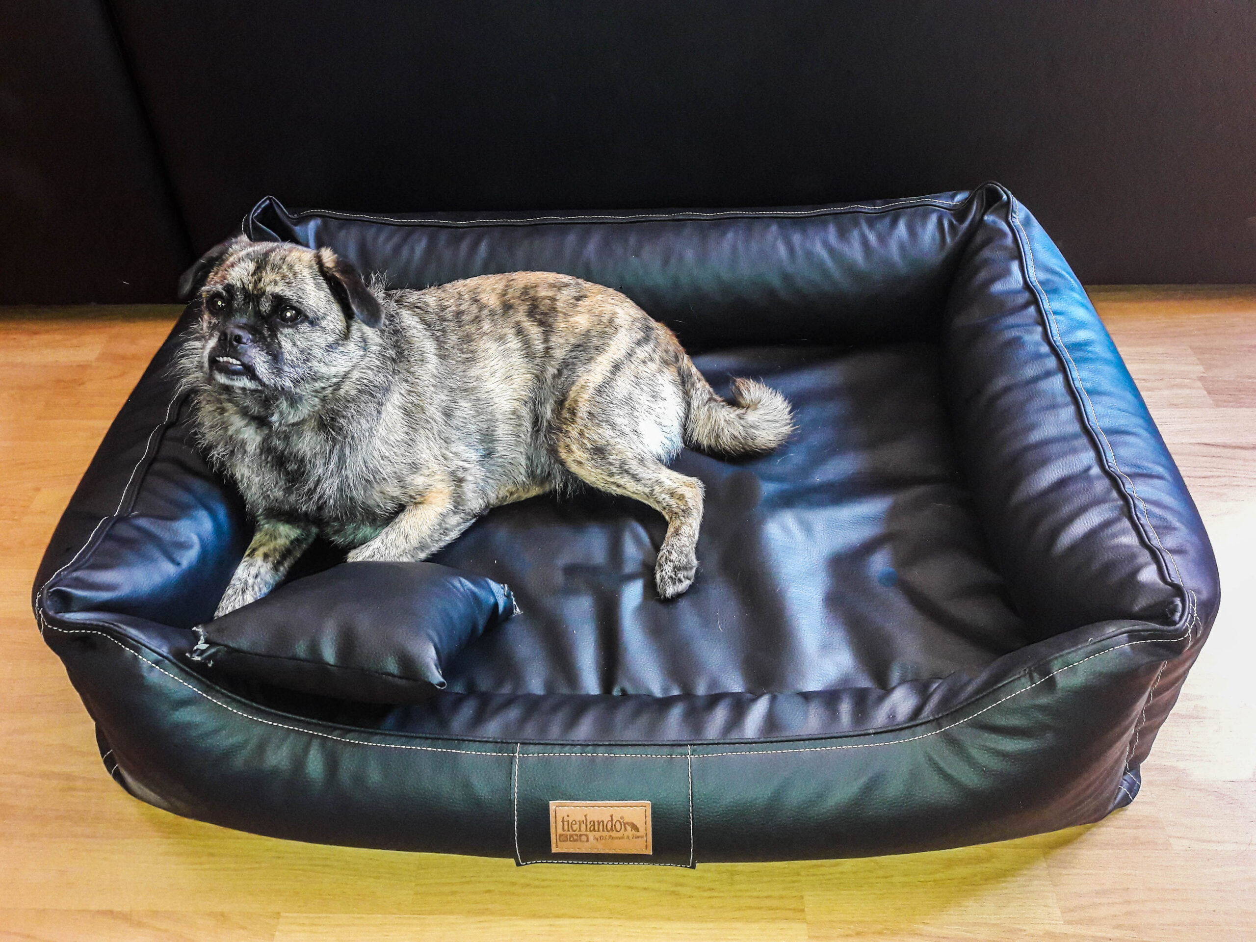 Testbericht: Orthopädisches Hundebett MADDOX ORTHO von tierlando