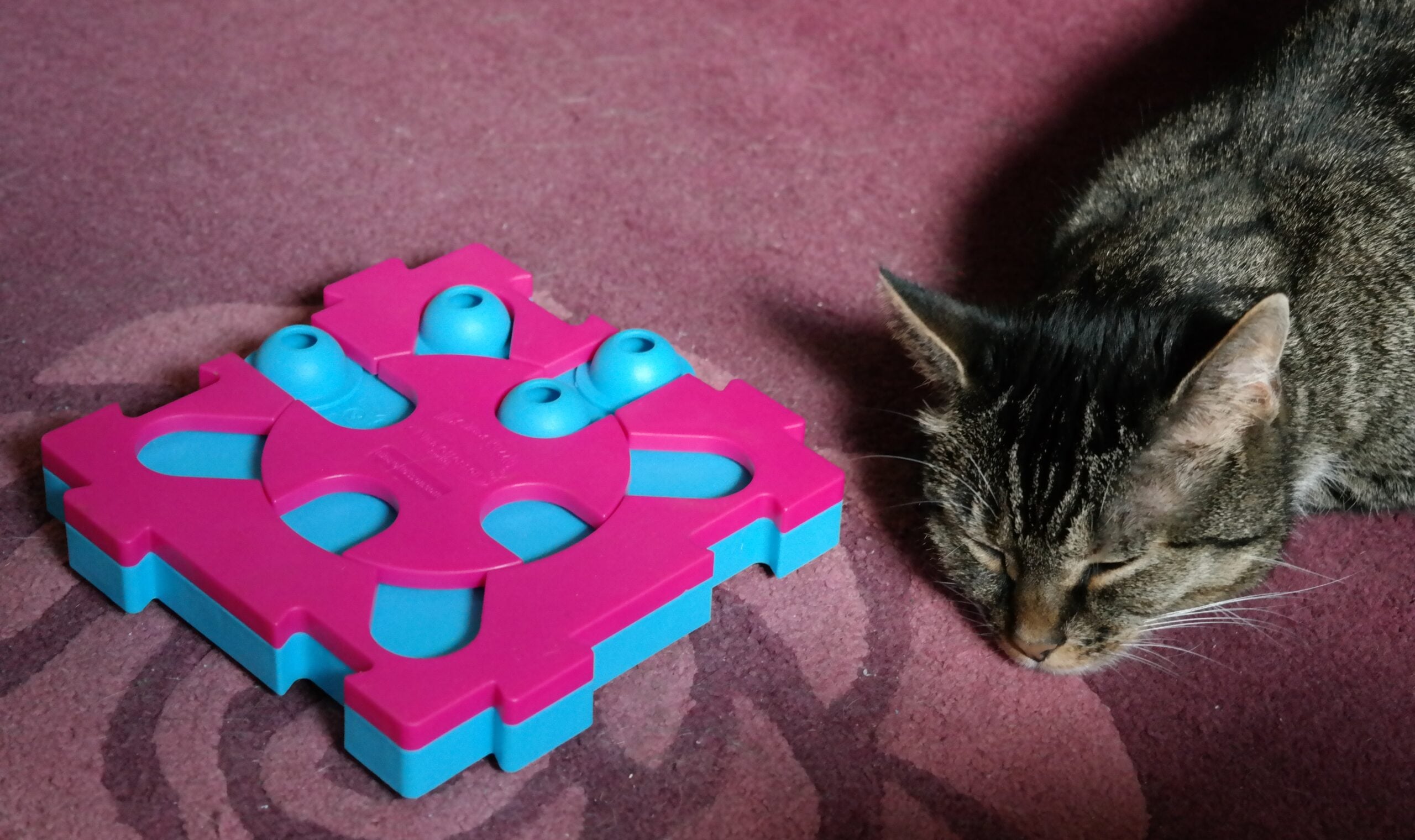 Testbericht: Intelligenzspiel MixMax Puzzle von Nina Ottosson