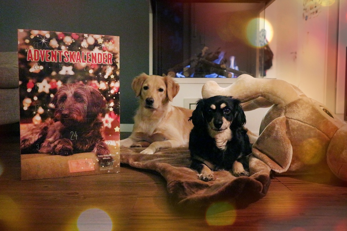 alsanature Adventskalender tolle Geschenke für den Hund