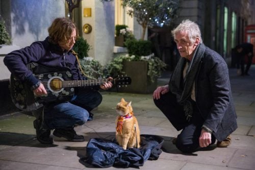 Luke_Treadaway__James___Bob__Roger_Spottiswoode_A_Street_Cat_Named_Bob_Covent_Garden_700