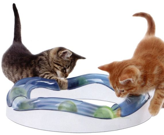 catit-senses-tempo-spielschiene525548c17d8e4_720x600