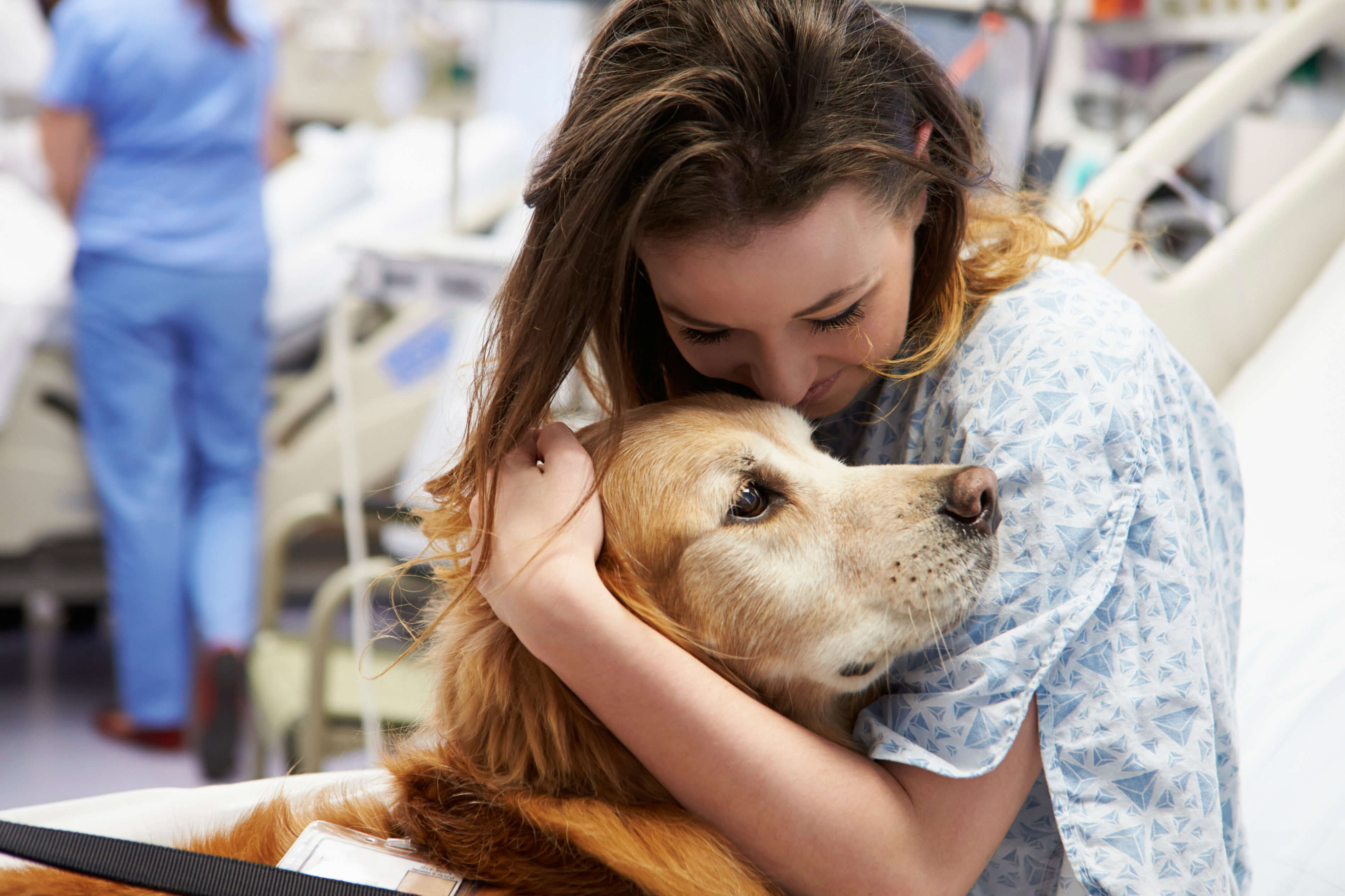 Golden Retriever als Therapiehund Golden Retriever als Therapiehund