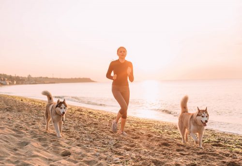 Joggen mit Hund am Strand Joggen mit Hund am Strand