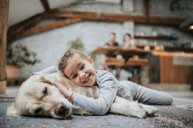 Ruhiger Hund an Silvester