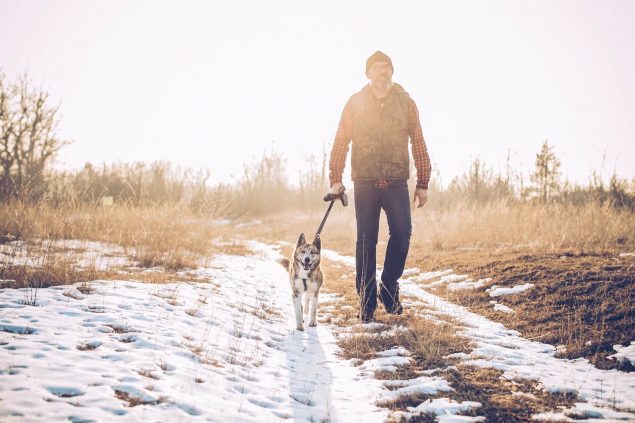 Silvester mit Hund im Naturpark