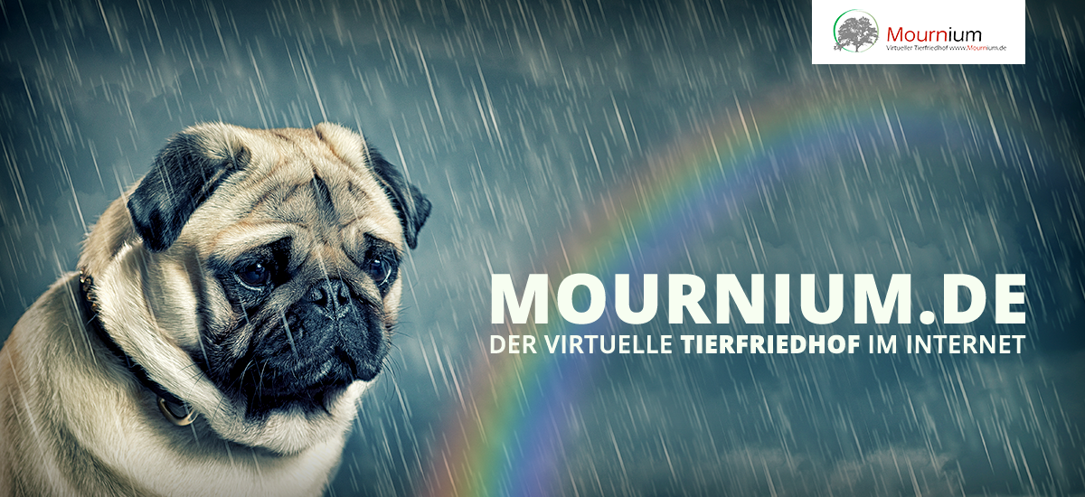 Mournium.de – der virtuelle Tierfriedhof im Internet
