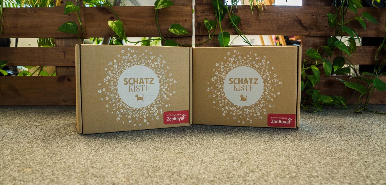 Adventskalender für Katzen Übersicht der 10 besten Kalender