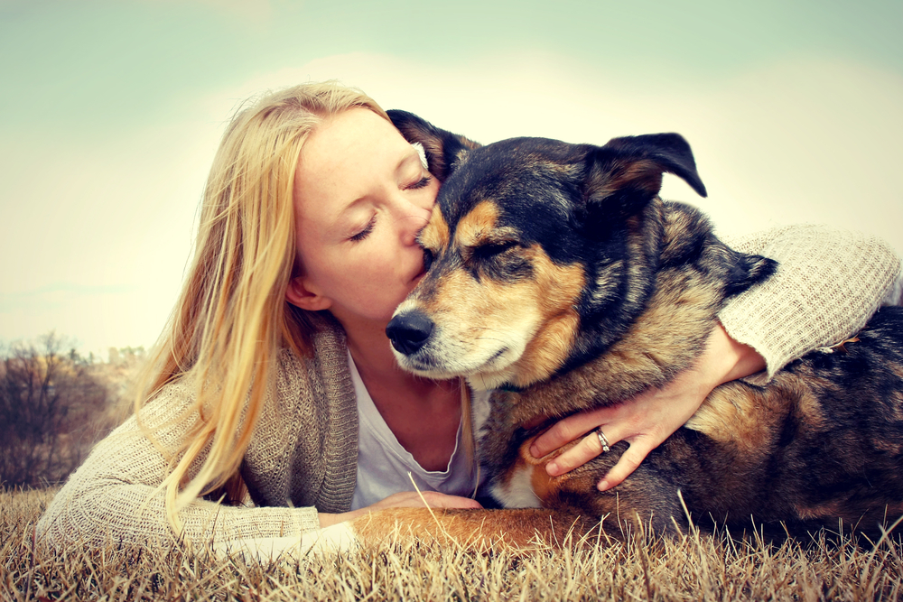 Hunde entwurmen Hunde entwurmen