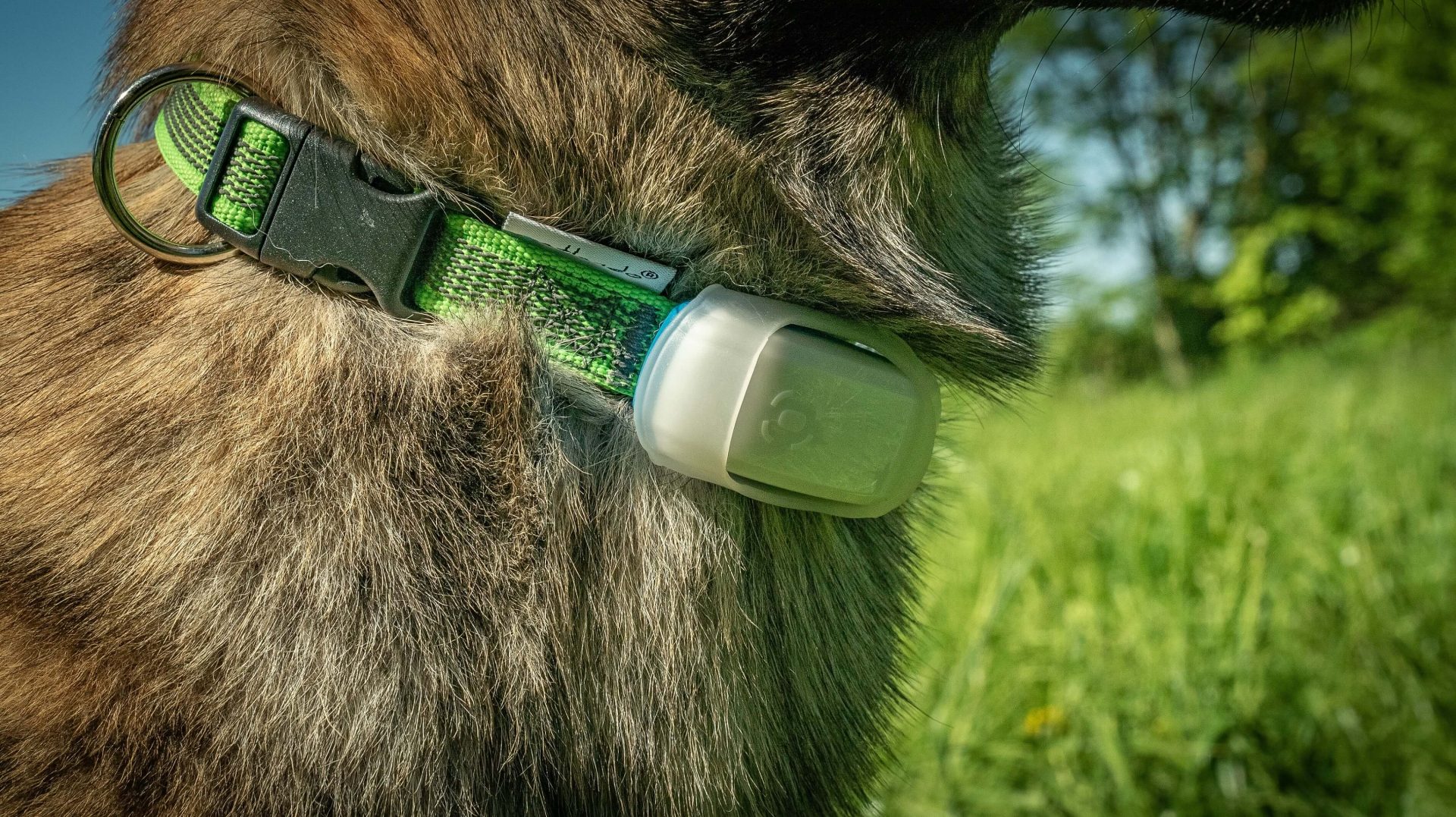 Testbericht Prothelis GPS Tracker GRETA