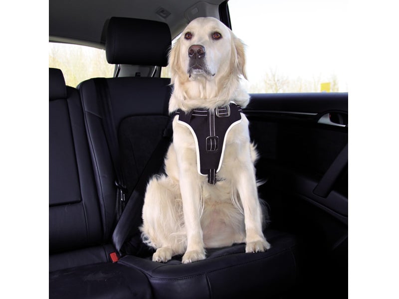 Auto Sicherheitsgurt Hund anschnallen 30-60cm Anschnallgurt verstellb