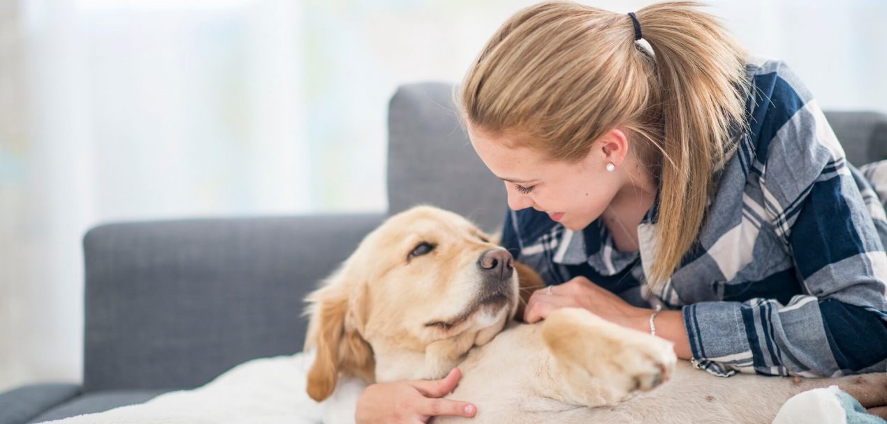halten: Die besten Tipps rund um die Hundehaltung | Haustier
