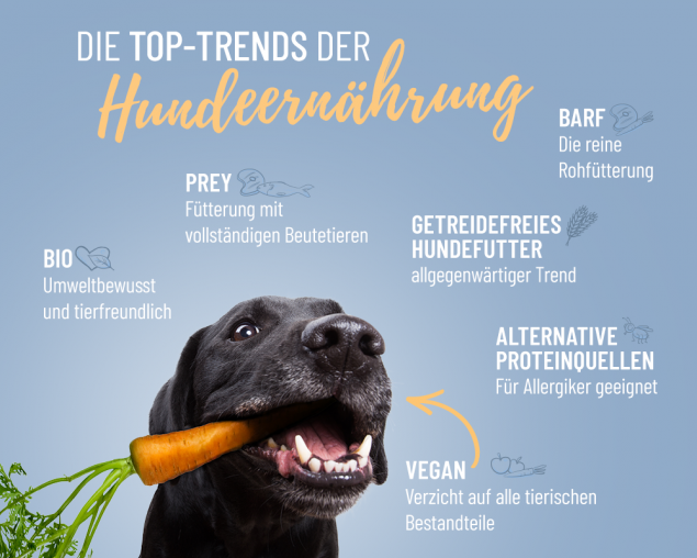 Trends in der Hundeernährung