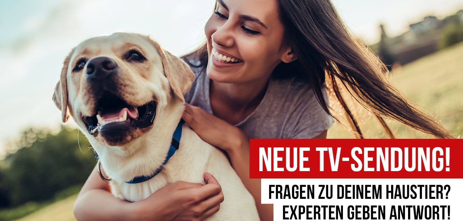 Neue TV-Sendung für Tierbesitzer