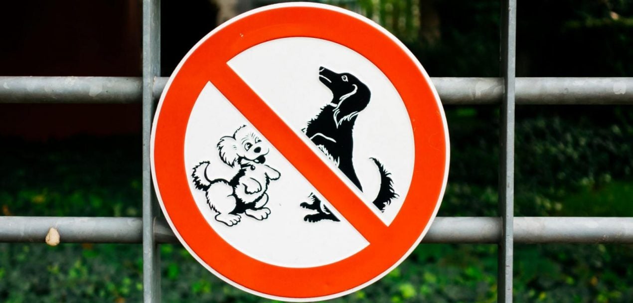 Playmobil Tier Haustiere Bauernhof nach Wahl Hund Hunde Vierbeiner Dog 