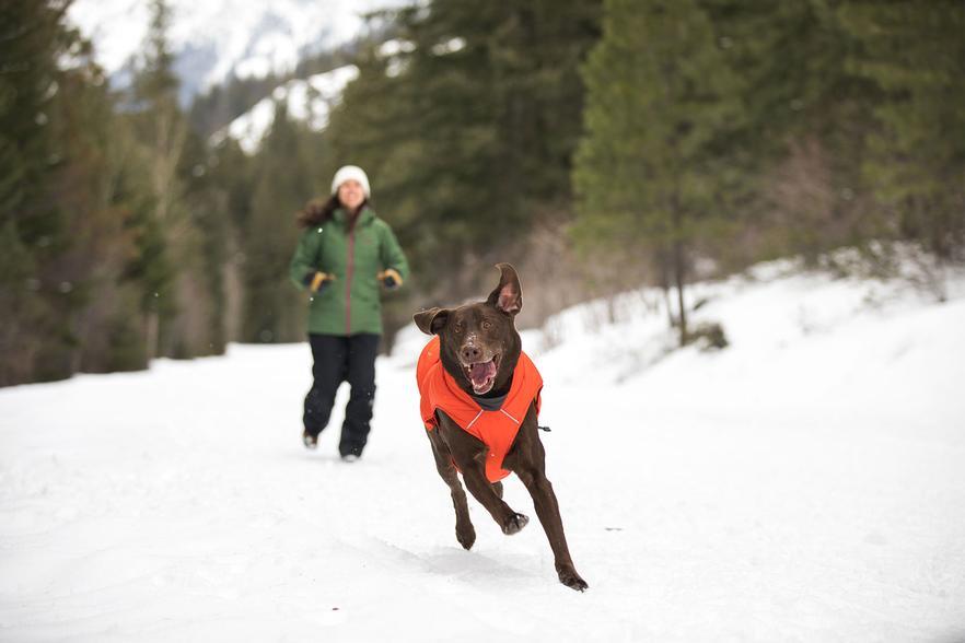 Winter Zubehör für Hunde von Ruffwear für jedes Wetter