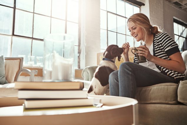 Hunde für die Wohnung