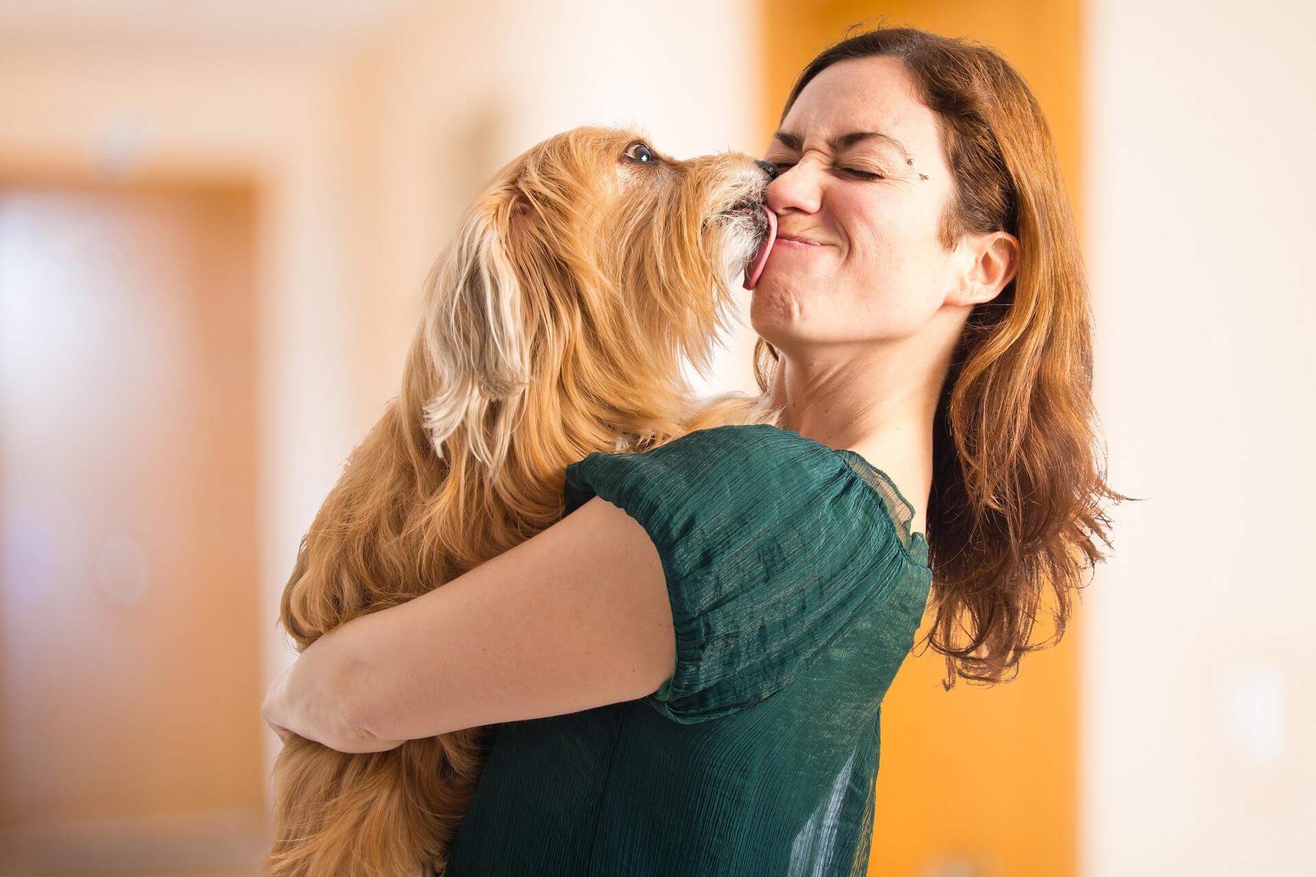Pet owner. Собака целует. Поцелуй с собакой. Собака облизывает. Девушка обнимает собаку.