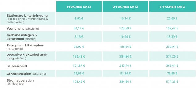 Hepster Katzenversicherung