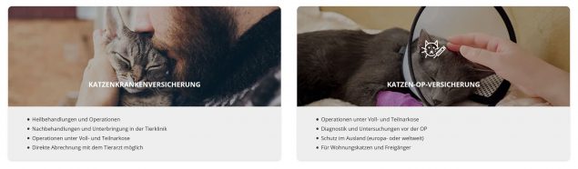 Hepster Katzenversicherungen