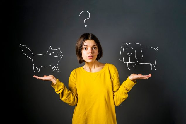 Hund oder Katze
