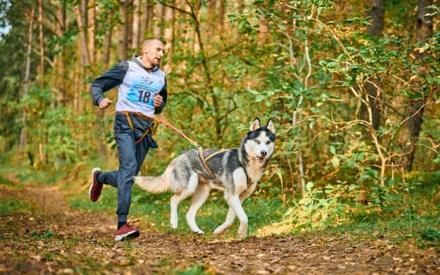 Mann beim Joggen mit seinem Husky Hund