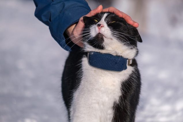 Auch bei Schnee kann man den Tracker einwandfrei benutzen.