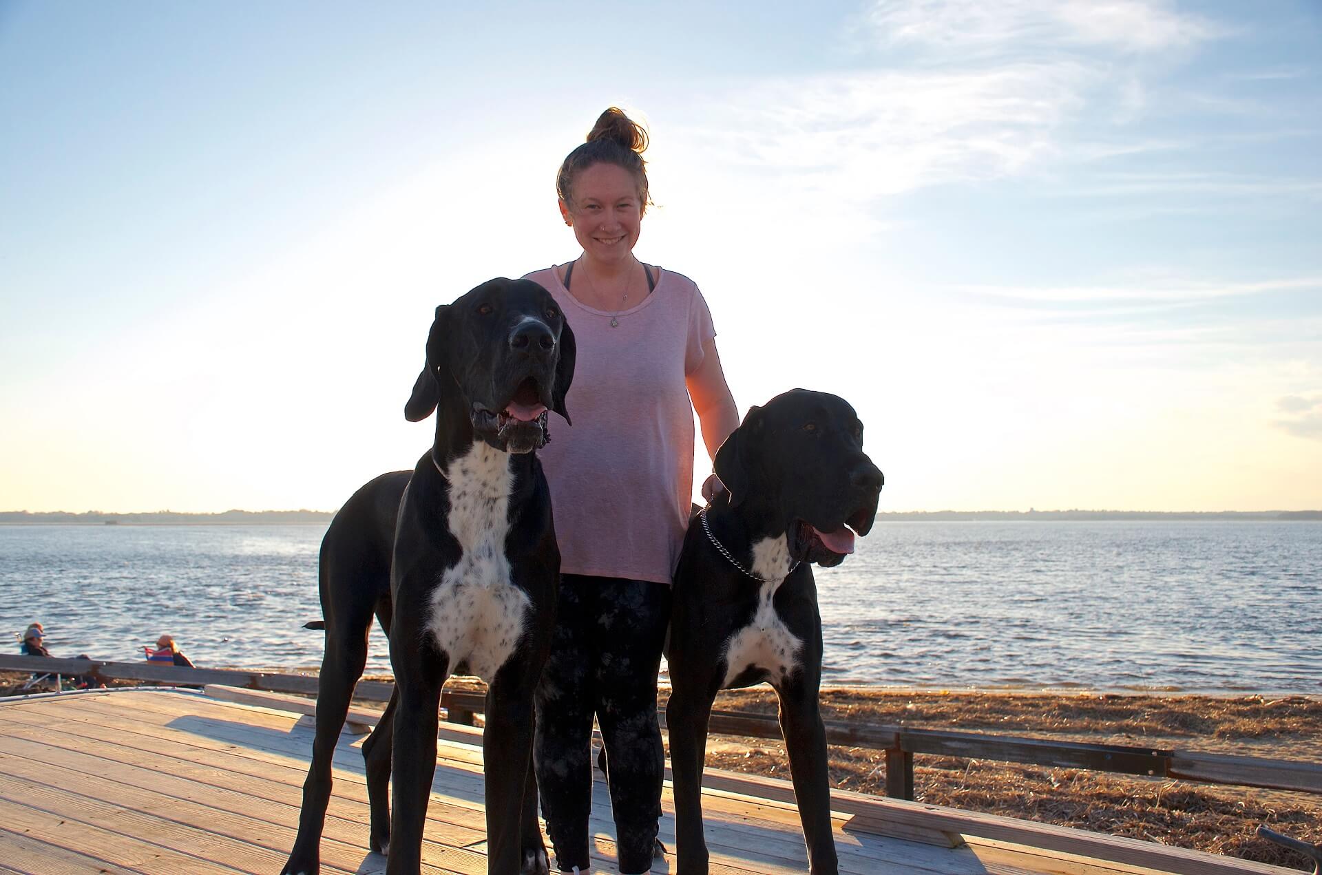 Top 10 größte Hunderasse