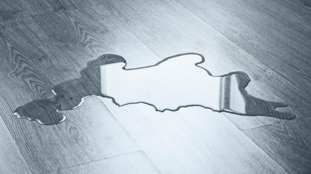 Katze pinkelt ins Bett