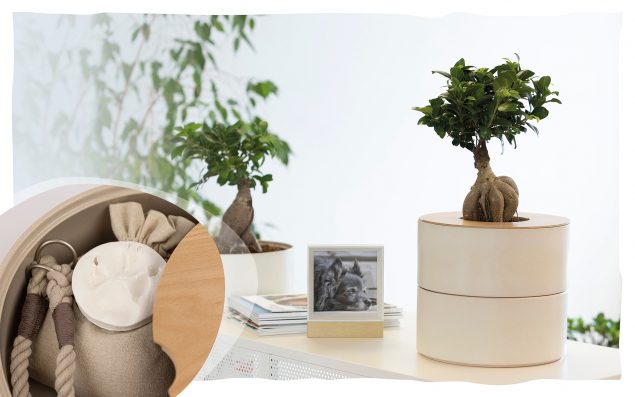 Baumbestattung für Tiere