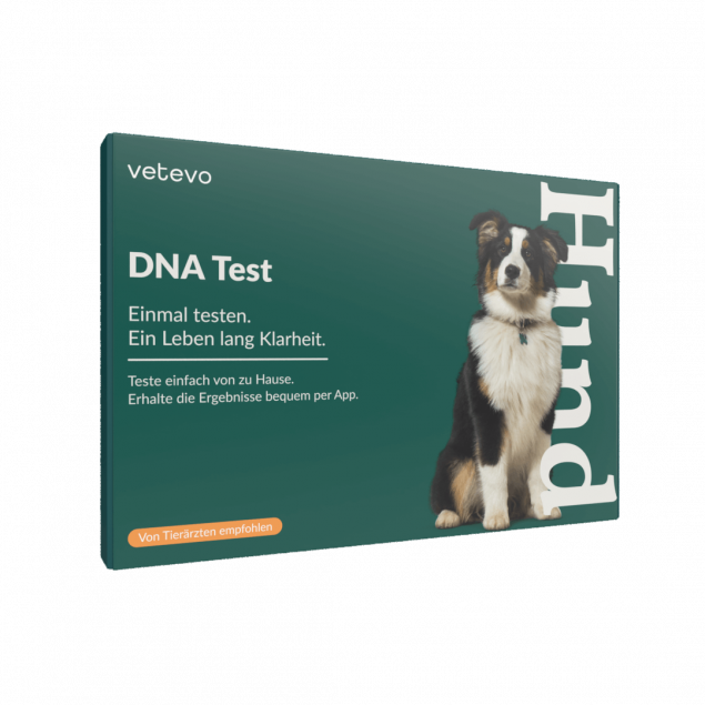 Was Kostet Ein Dna Test