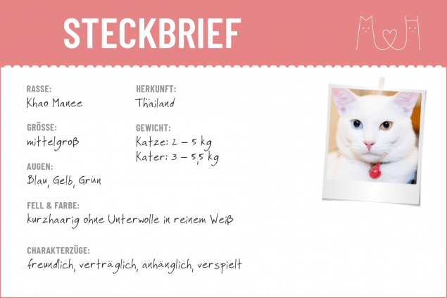 Steckbrief-Khao-Manee