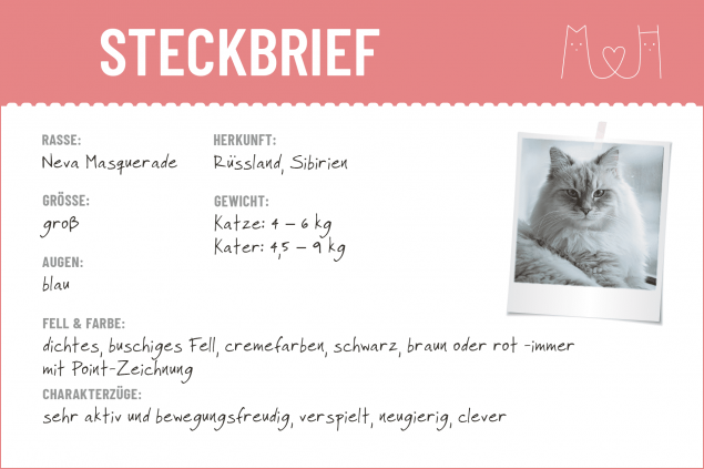 Steckbrief Neva Masquerade