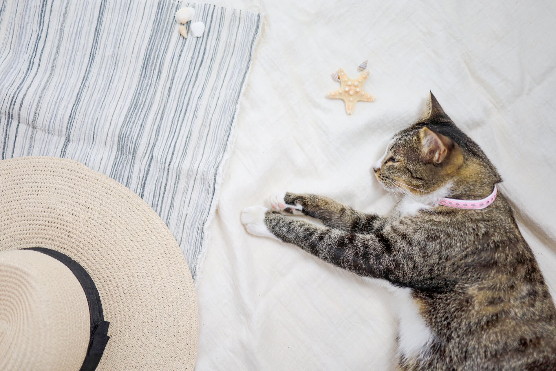 Kühlmatte Für Kinderwagen & Autositz 70x34cm - Eisseide Kissen Für Heiße Tage