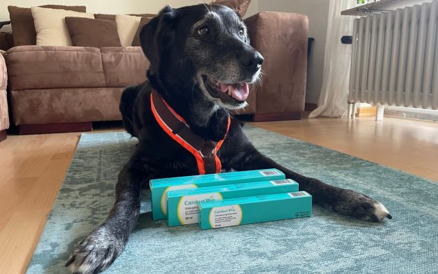 Testbericht Canikur® Pro für Hunde