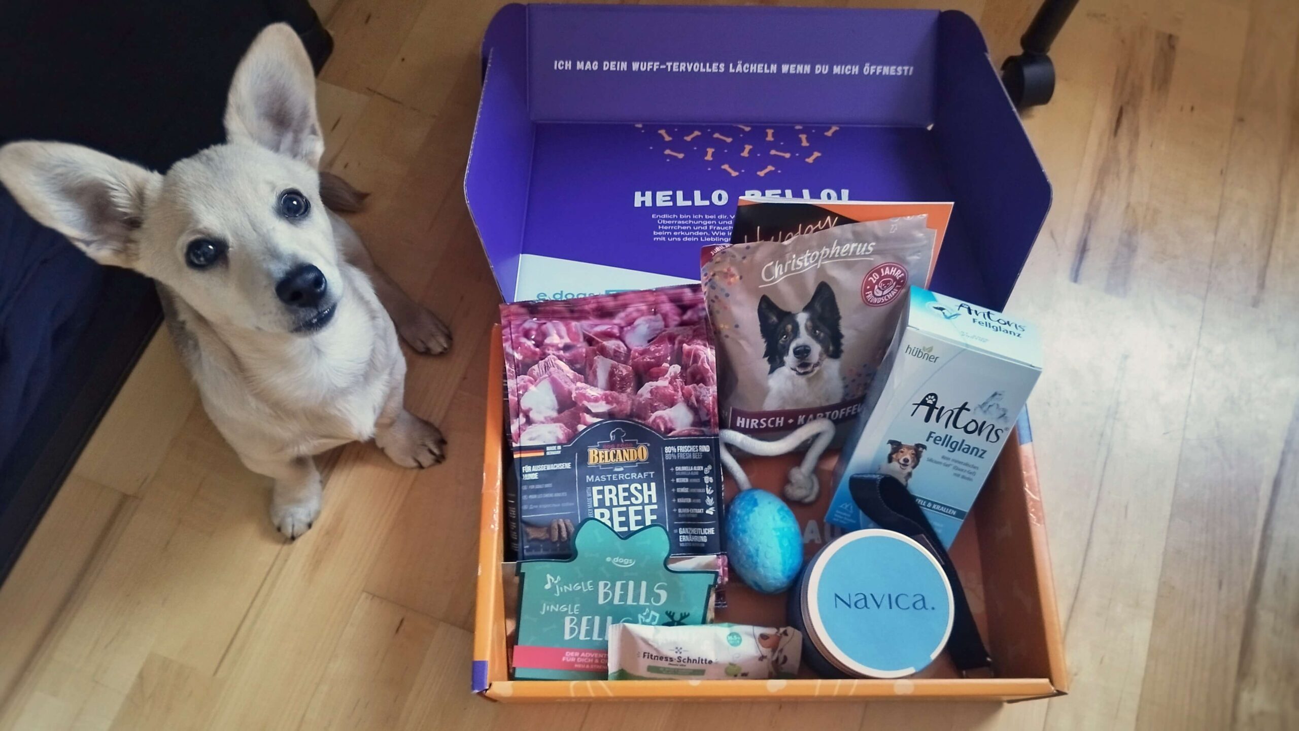 Testbericht edogs Überraschunsgboxen